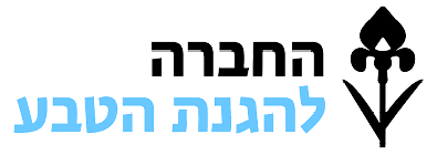 תיאור התמונה