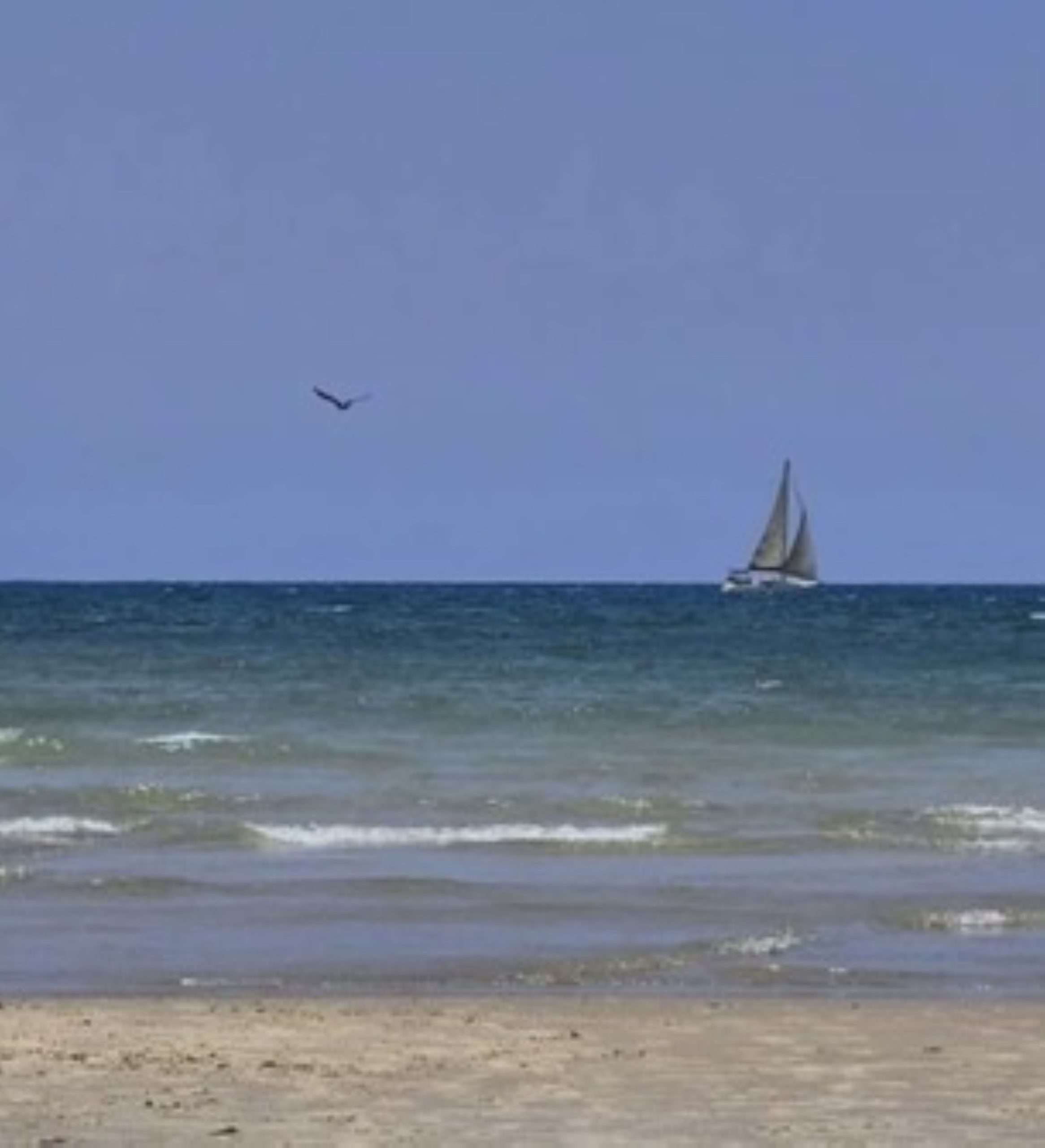 Read more about the article בים אחרי המלחמה – הדס גולן