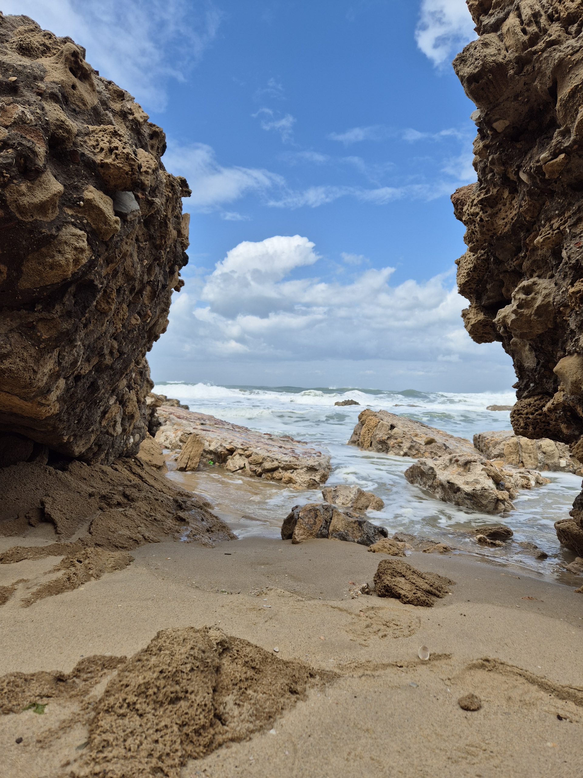 Read more about the article סלע – חופית מיכאלי