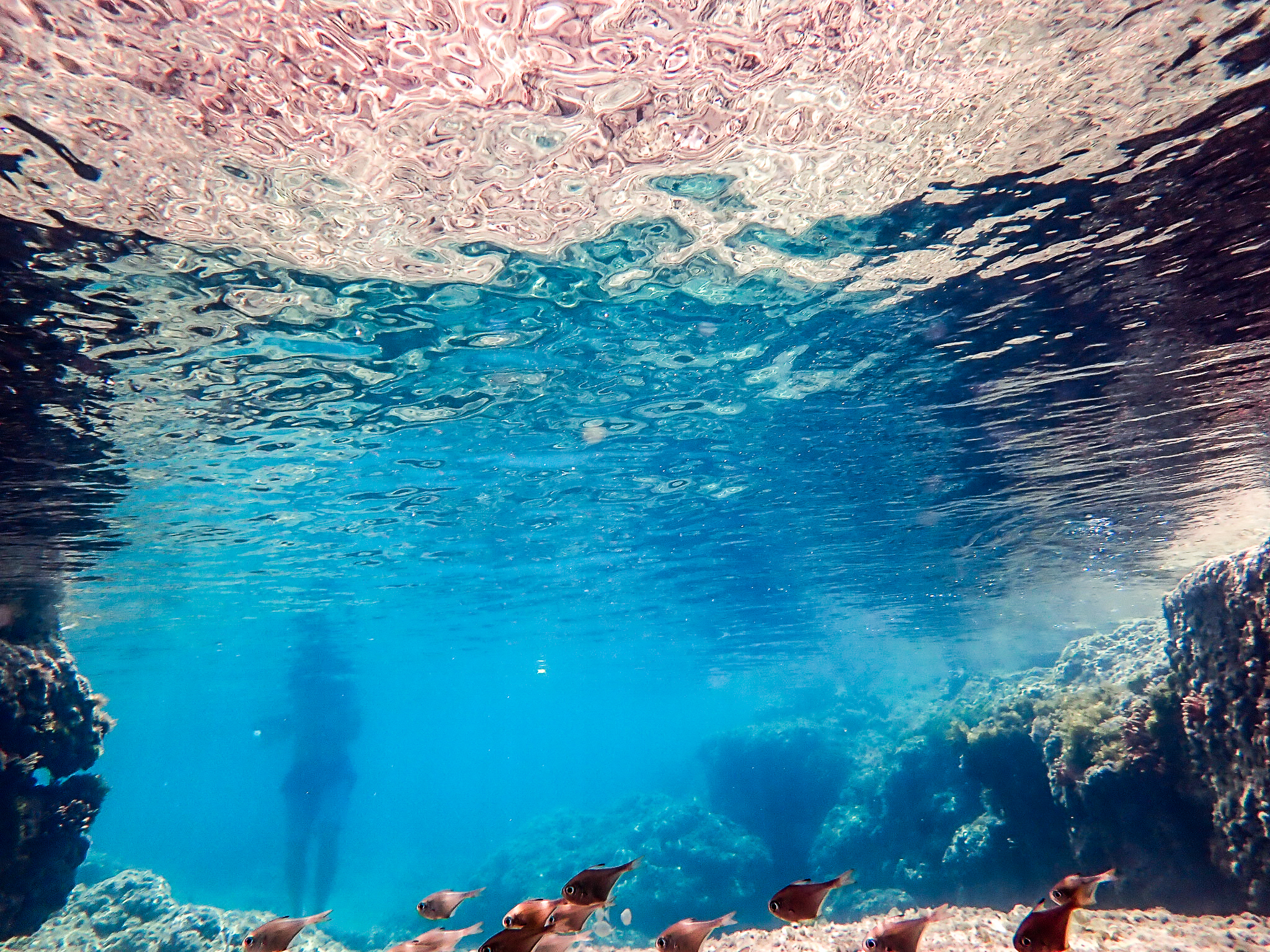 Read more about the article בינינו – לי הרתאן