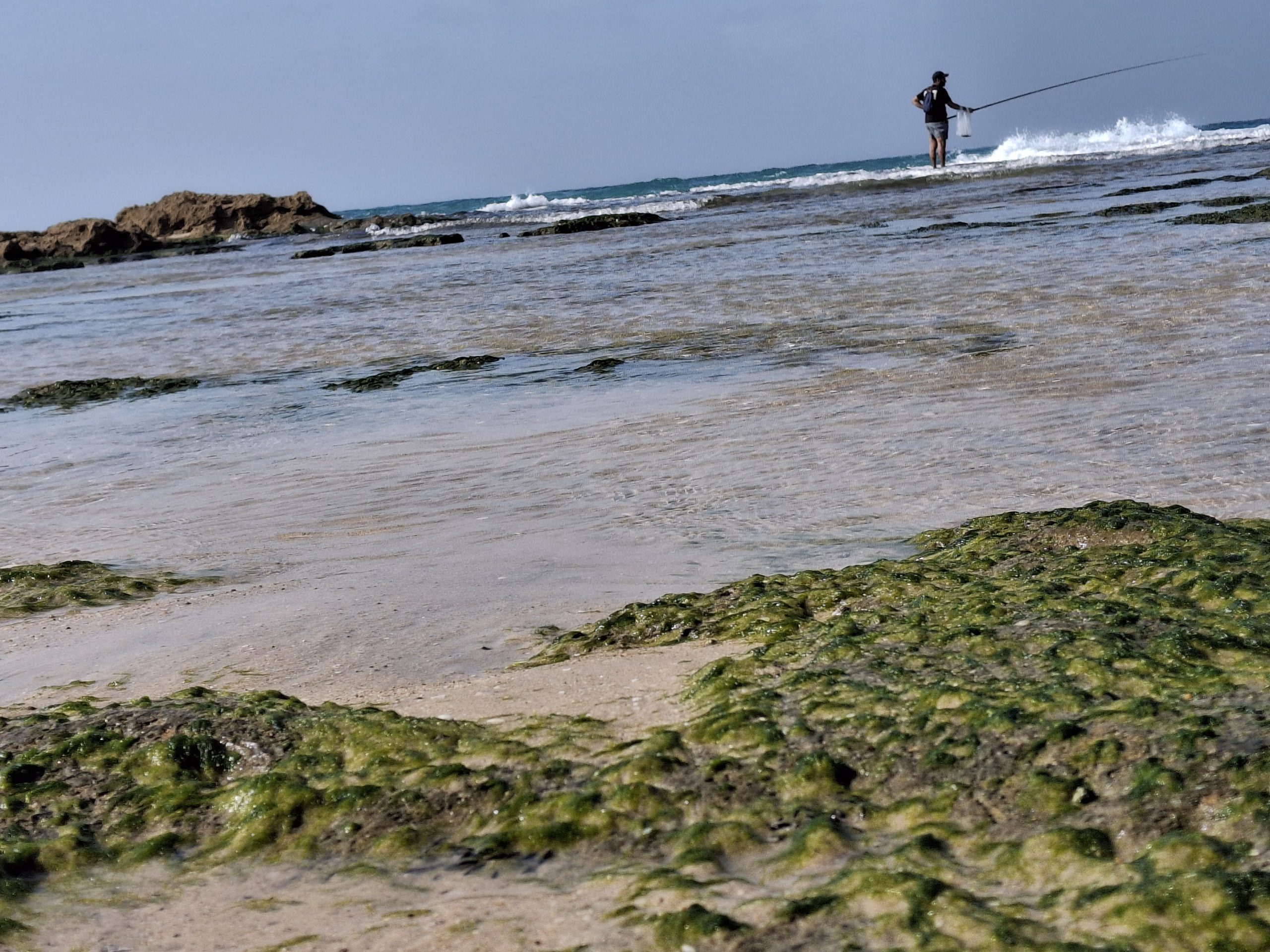 Read more about the article בקו המים – לימור בוכניק