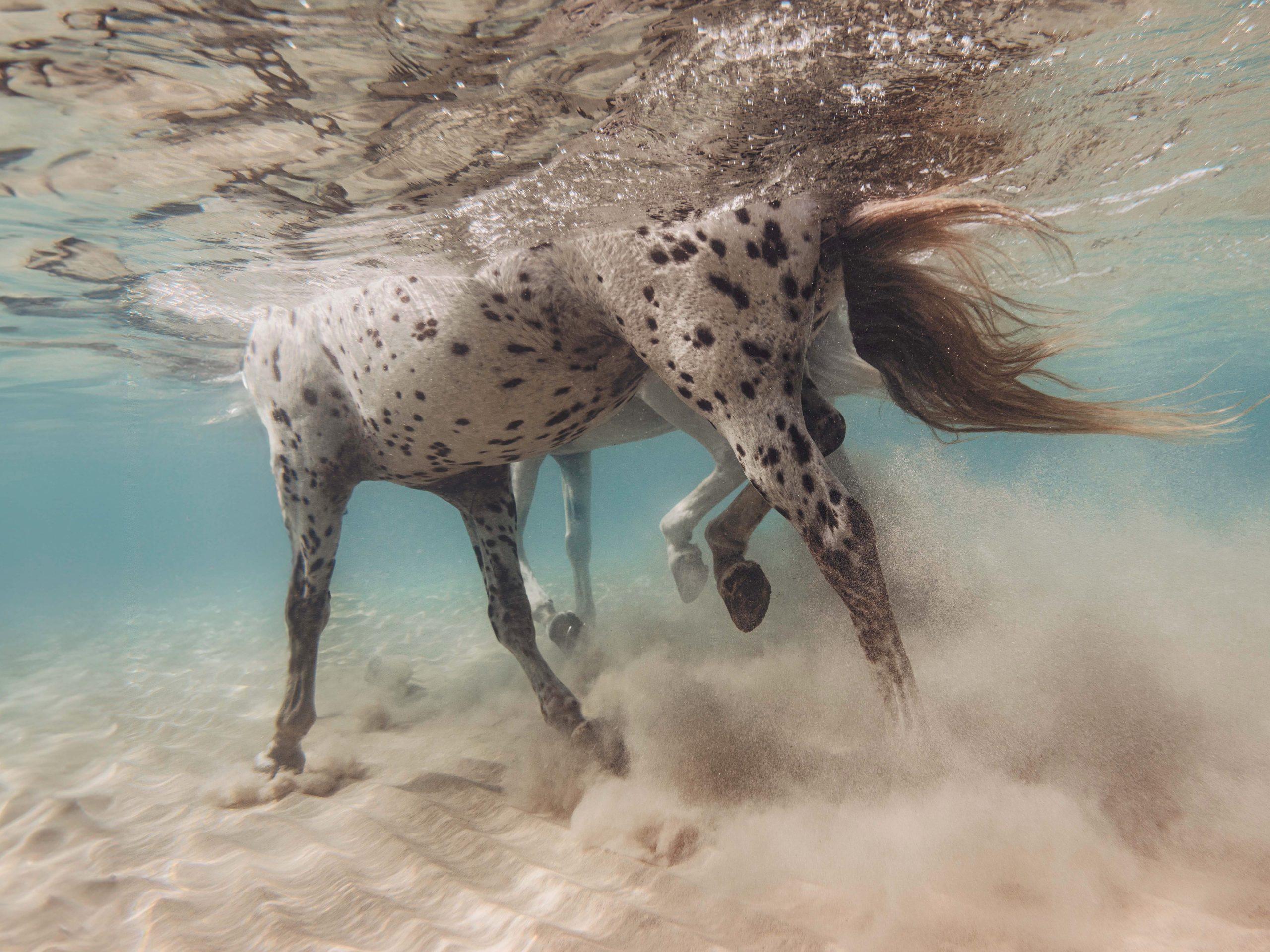 Read more about the article Gentle Power – נוי עינב