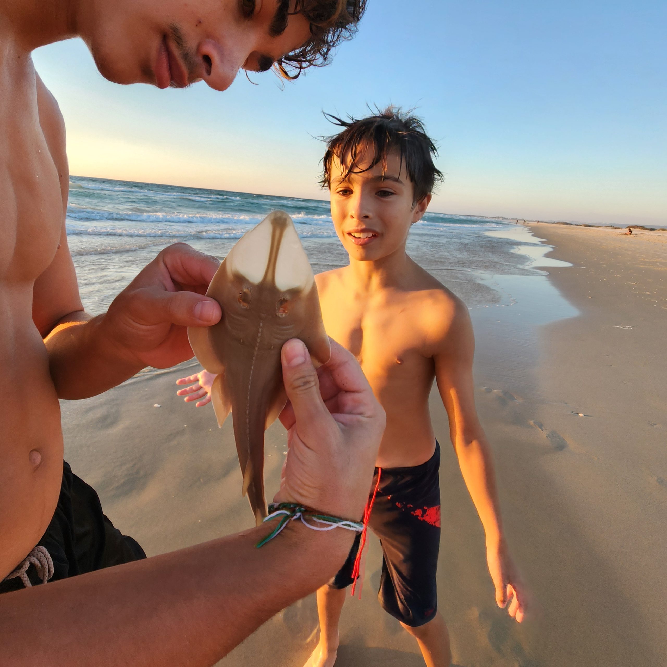 Read more about the article "חסד של בין ערביים" – אורי שגב