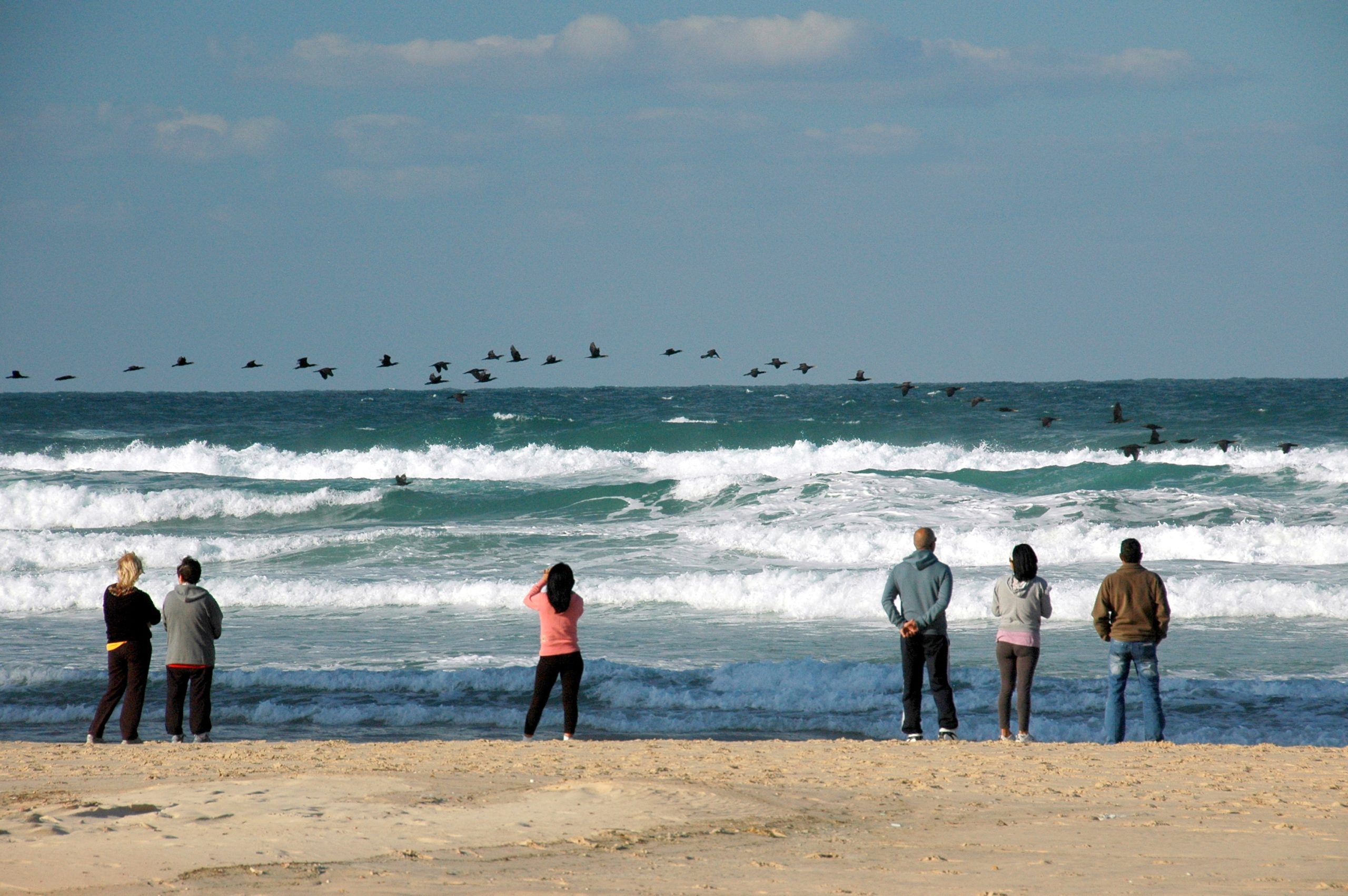 Read more about the article נדידה – דוד DAVID עידן IDAN